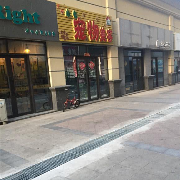 小七宠物美容:齐齐哈尔市龙沙区