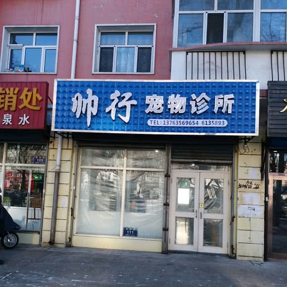帅行宠物诊所:齐齐哈尔市龙沙区