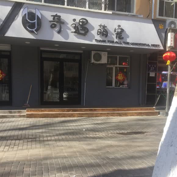 奇遇萌宠:齐齐哈尔市建华区