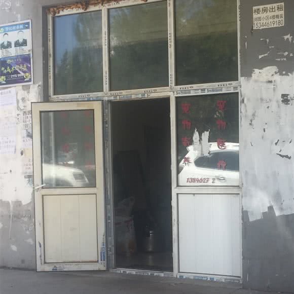 宠物寄养:齐齐哈尔市建华区