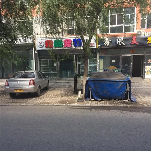 宠趣宠物:齐齐哈尔市建华区