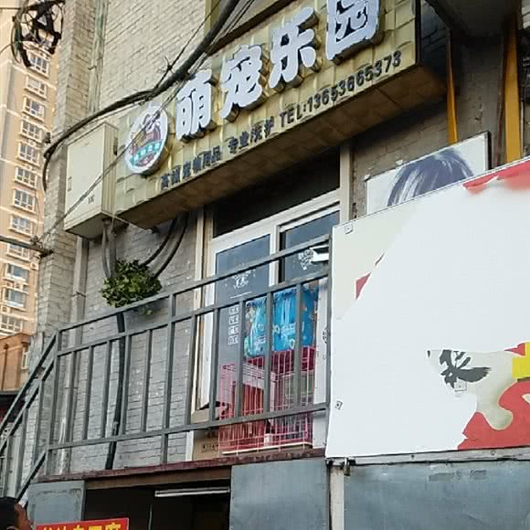 萌宠乐园:太原市杏花岭区五一路附近