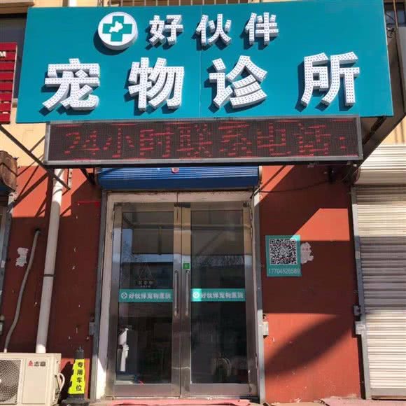 好伙伴宠物诊所:齐齐哈尔市建华区
