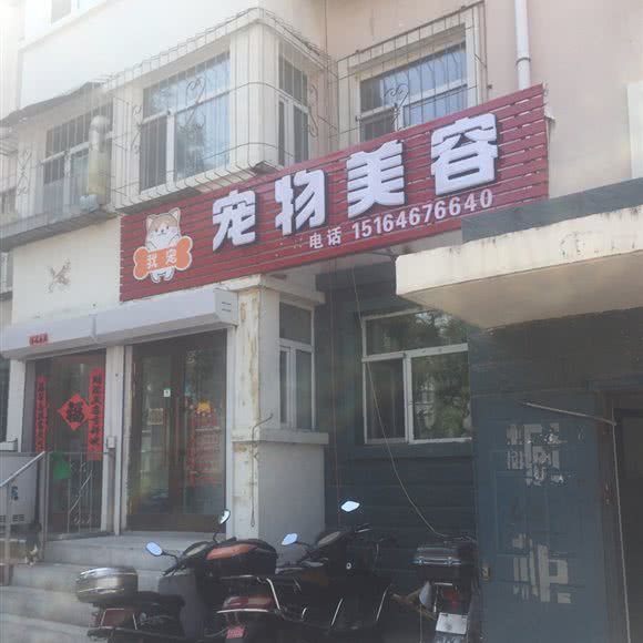 我宠宠物美容:齐齐哈尔市铁锋区