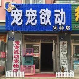 宠宠欲动宠物店:齐齐哈尔市铁锋区