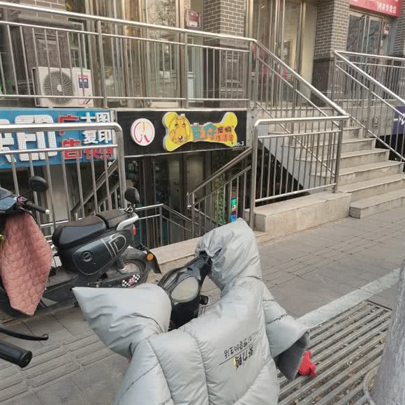 小八皮仔宠物生活店(no.3):太原市杏花岭区五一路附近