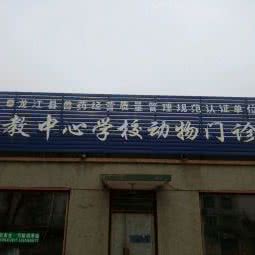 职教中心幼儿园动物门诊部:齐齐哈尔市龙江县
