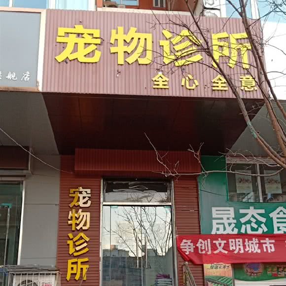 宠物诊所:太原市杏花岭区旱西关附近
