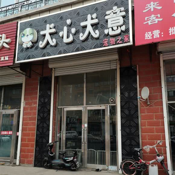 犬心犬意狗狗之家:齐齐哈尔市讷河市