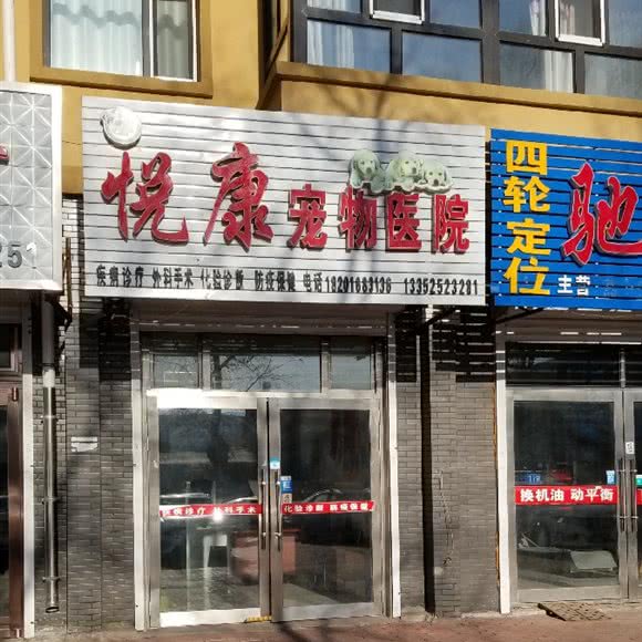 悦康宠物医院:齐齐哈尔市讷河市