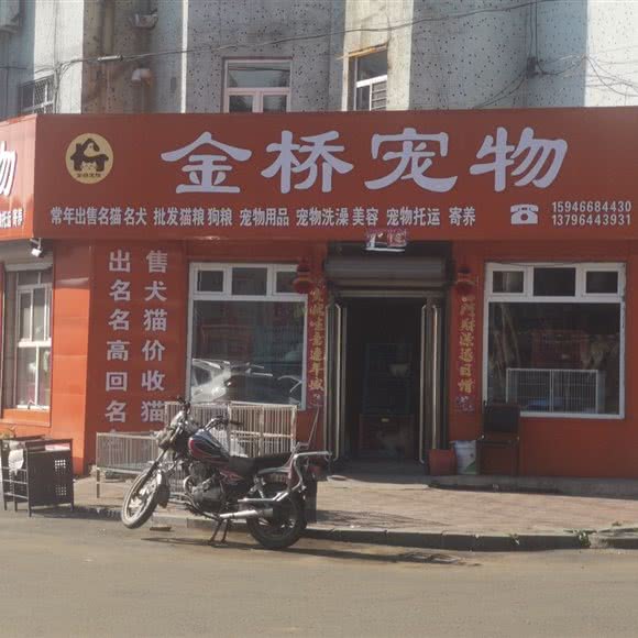 金桥狗狗:鸡西市鸡冠区