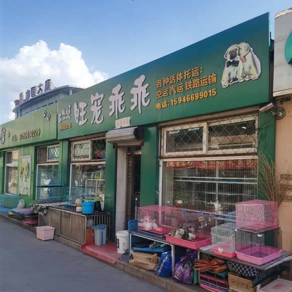 麟凤旺宠乖乖:鸡西市鸡冠区