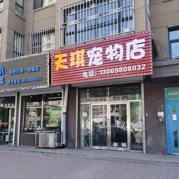天琪宠物店:鸡西市鸡冠区