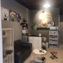 晚晚的一种狗店:太原市杏花岭区建设北路附近