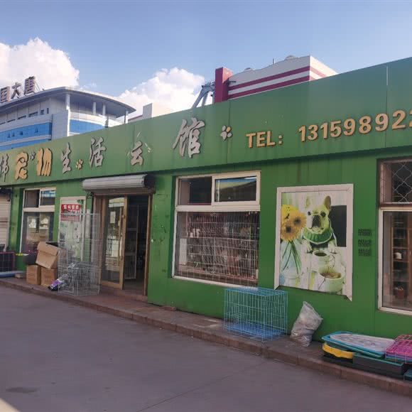 大伟宠物商店:鸡西市鸡冠区