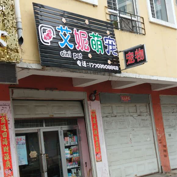 艾妮萌宠:鸡西市鸡冠区