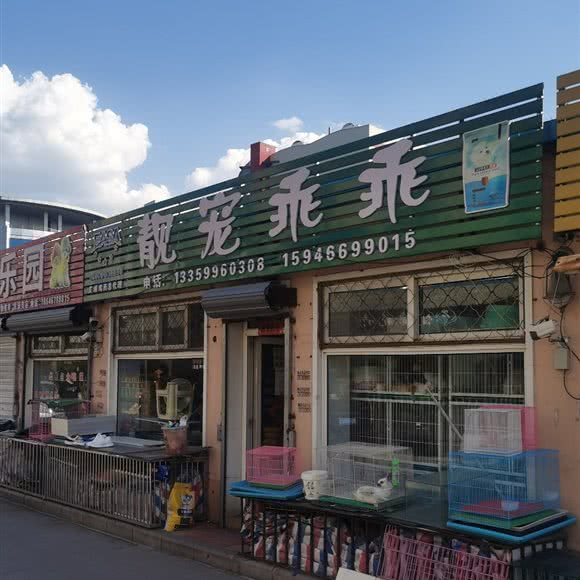 靓宏乖乖:鸡西市鸡冠区