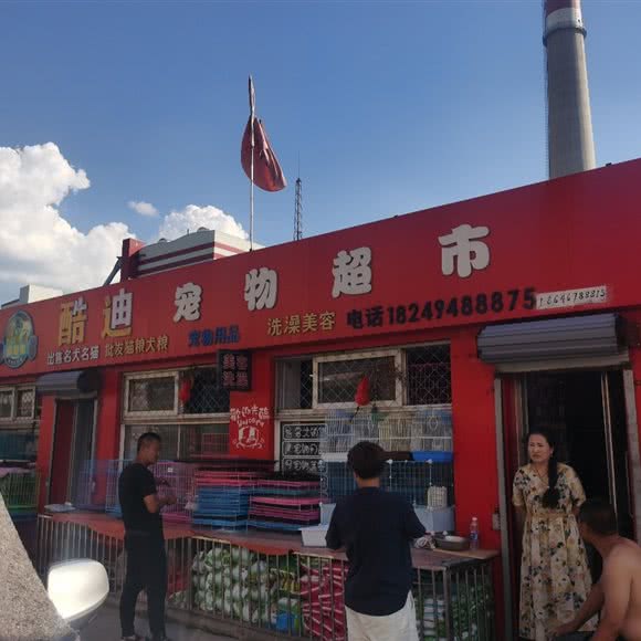 酷迪宠物超市:鸡西市鸡冠区