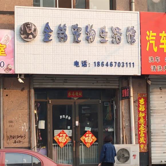 金铭宠物生活馆:鸡西市恒山区