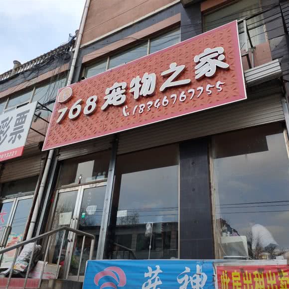 768狗狗之家:鸡西市恒山区