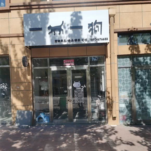 一猫一狗:鸡西市密山市