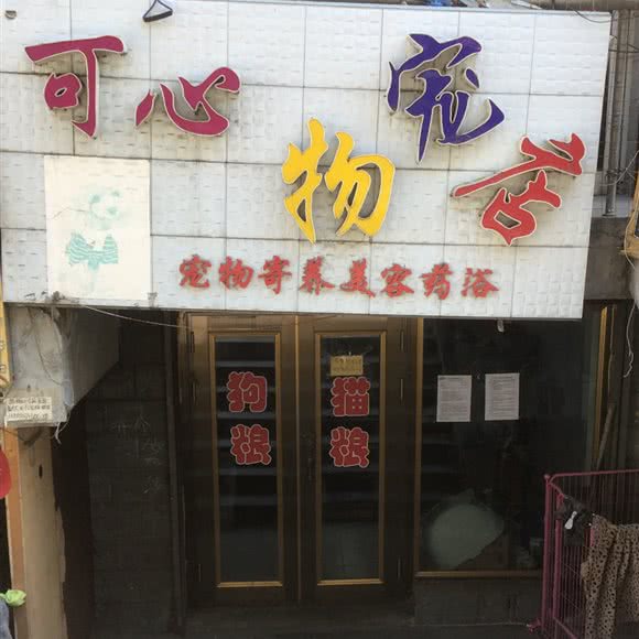 可心宠物店:鸡西市密山市