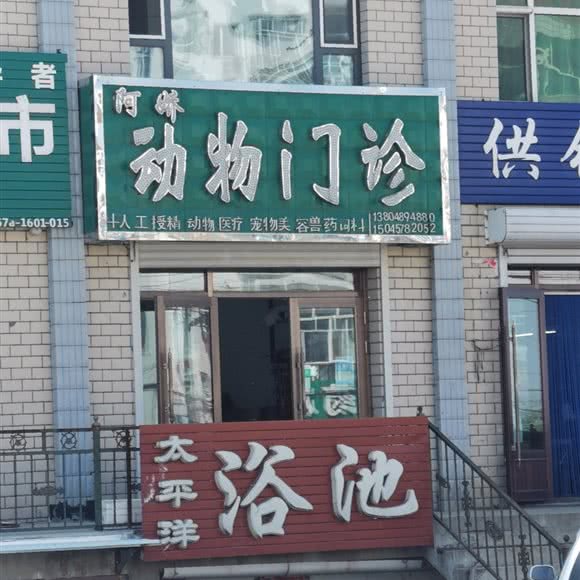 阿娇动物门诊:鸡西市密山市