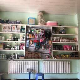 班长的宠物店:鹤岗市工农区