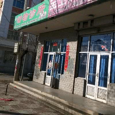 动物诊所:鹤岗市萝北县