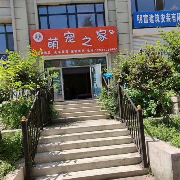 萌宠之家:双鸭山市尖山区