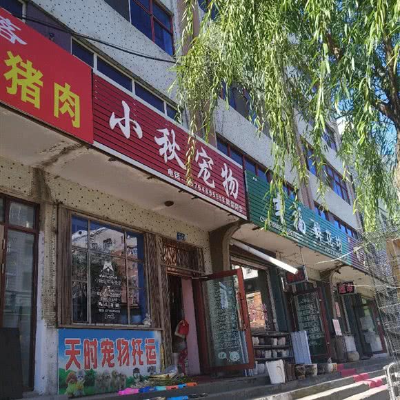 小秋宠物店:双鸭山市集贤县
