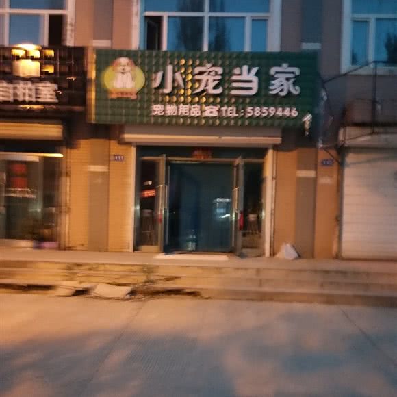 小宠当家:双鸭山市友谊县