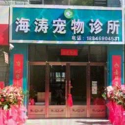 海涛宠物诊所:双鸭山市宝清县