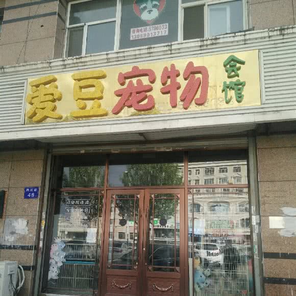 爱豆宠物会馆:大庆市萨尔图区