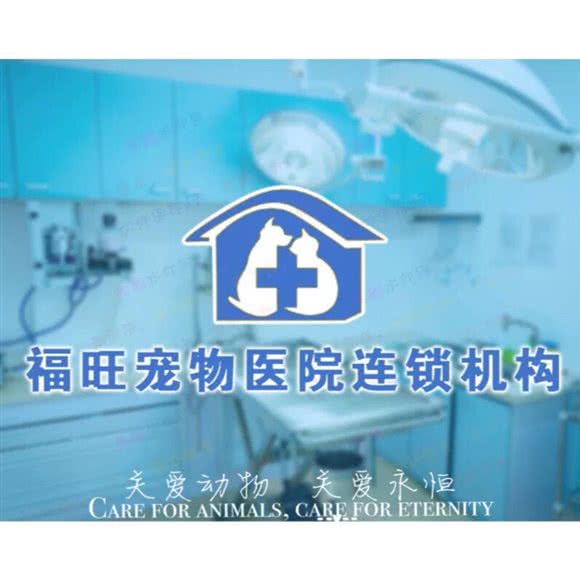 福旺宠物医院24H(新村店):大庆市萨尔图区