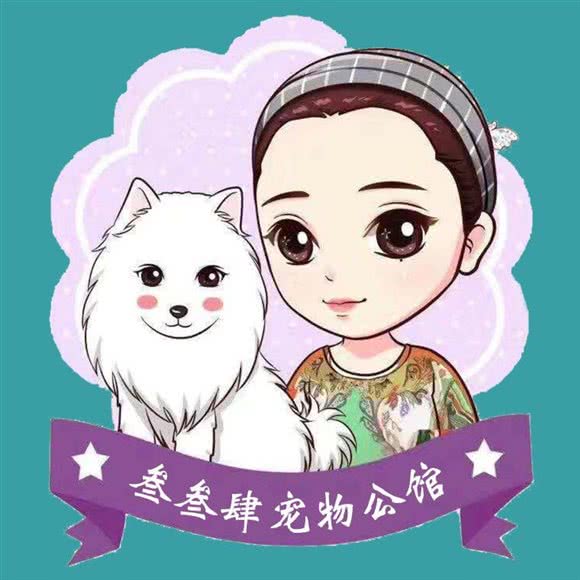 叁叁肆宠物公馆:北京城区朝阳区百子湾附近