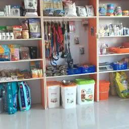 小精灵宠物:大庆市龙凤区