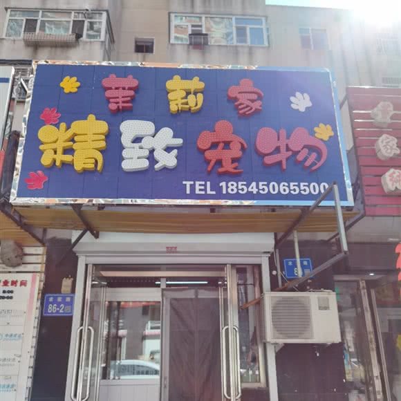 茉莉家精致宠物:大庆市让胡路区