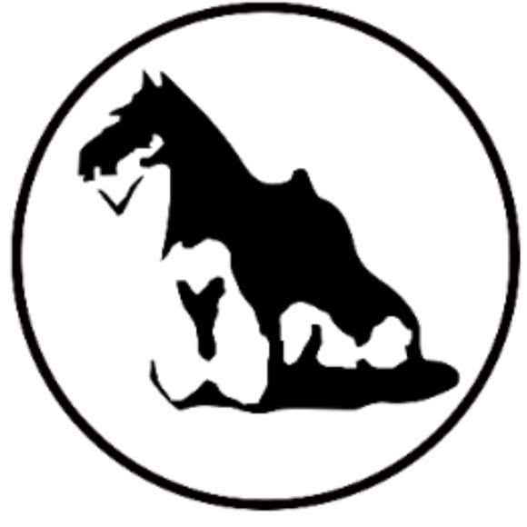 宠里宠物工作室:大庆市让胡路区