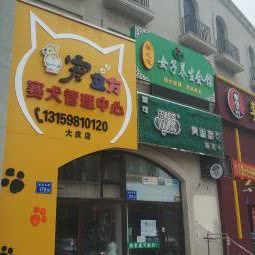 宠立方赛犬管理中心(大庆店):大庆市让胡路区