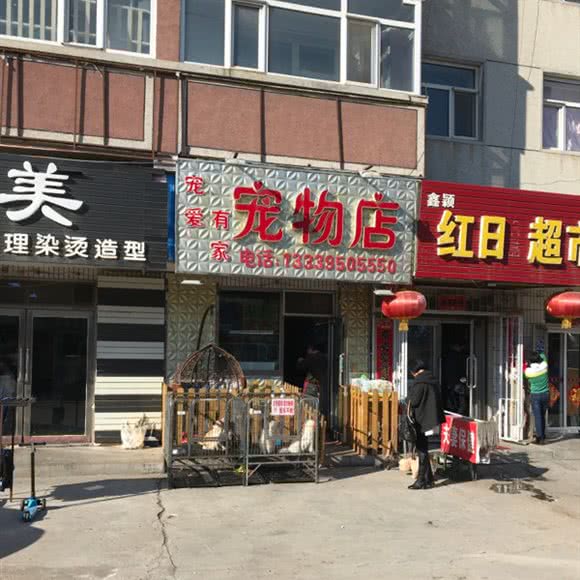 宠爱有家宠物店:大庆市红岗区