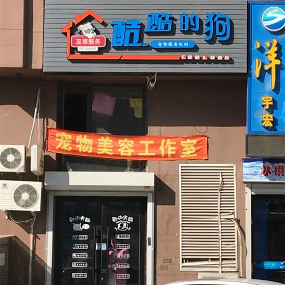 酷酷的狗至尊服务:大庆市红岗区