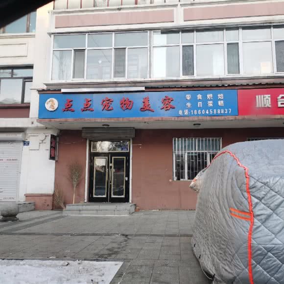 铁力点点宠物护肤:伊春市铁力市