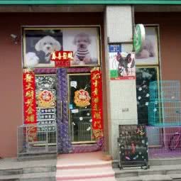 宠爱宠物美容:伊春市铁力市