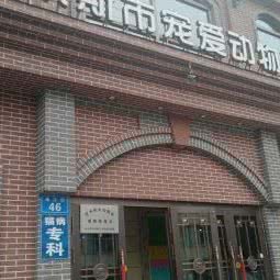 宠爱动物医院:佳木斯市向阳区