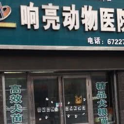 响亮动物医院:佳木斯市桦南县