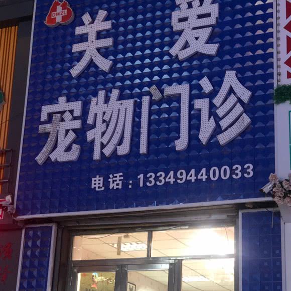 关爱宠物门诊:佳木斯市桦南县