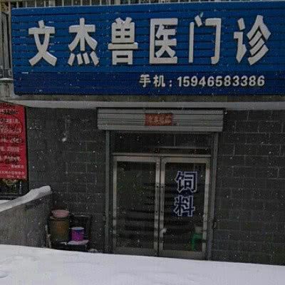 文杰兽医门诊:佳木斯市桦川县