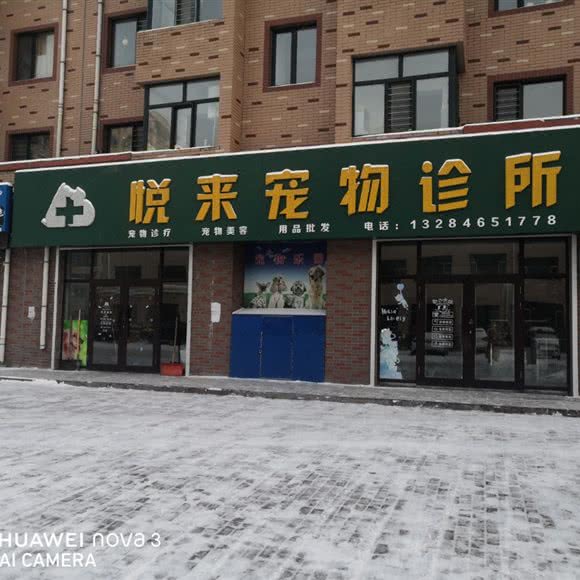 悦来动物诊所:佳木斯市桦川县