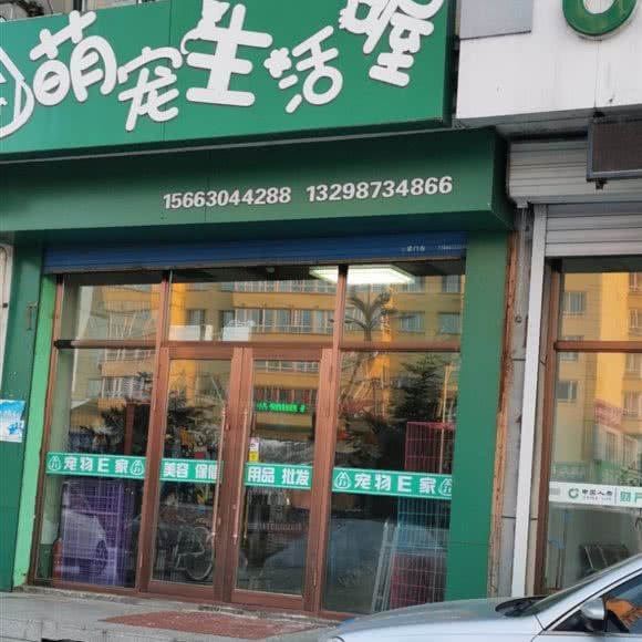 萌宠生活喔:佳木斯市富锦市
